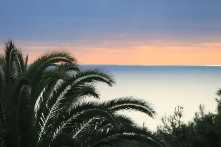 Maison 4 pers. avec jardin tropical à 5 min de plage : photo 1