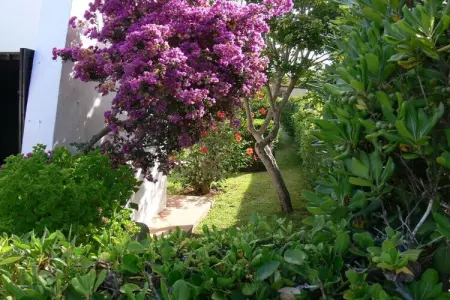 Maison 4 pers. avec jardin tropical à 5 min de plage : photo 7