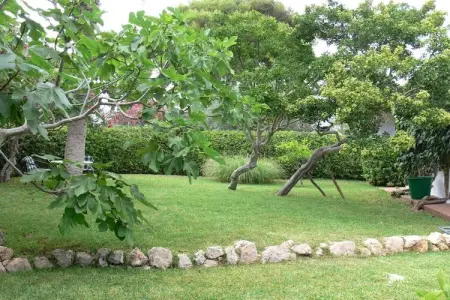 Maison 4 pers. avec jardin tropical à 5 min de plage : photo 8