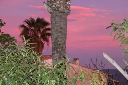Maison 4 pers. avec jardin tropical à 5 min de plage : photo 9