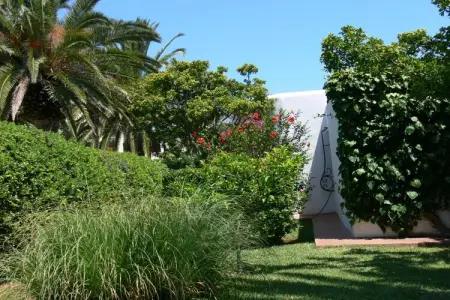 Maison 4 pers. avec jardin tropical à 5 min de plage : photo 11