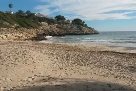 Maison 4 pers. avec jardin tropical à 5 min de plage : photo 26