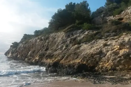 Maison 4 pers. avec jardin tropical à 5 min de plage : photo 27