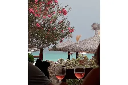 Maison 4 pers. avec jardin tropical à 5 min de plage : photo 28