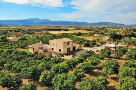 380388, Finca à Muro avec piscine - Photo 7
