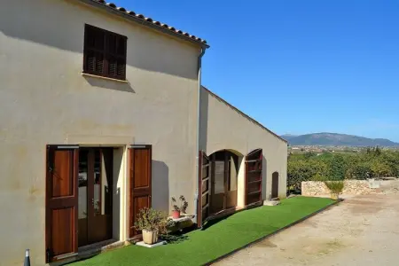380388, Finca à Muro avec piscine - Photo 8
