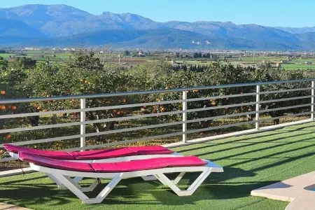 380388, Finca à Muro avec piscine - Photo 10