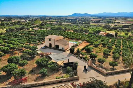 380388, Finca à Muro avec piscine - Photo 11
