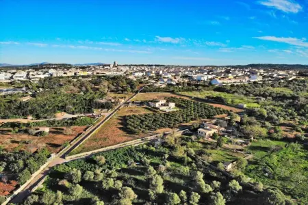 380388, Finca à Muro avec piscine - Photo 13