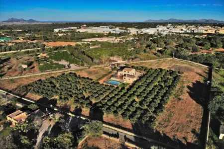 380388, Finca à Muro avec piscine - Photo 14