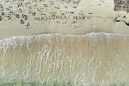 380421, Finca à Muro avec piscine - Photo 30