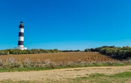 Location Maison 4 personnes à Saint Georges d'Oléron - Photo 22
