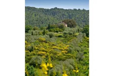 Villa toscane rustique avec vue côtière à Montecatini Val di Cecina : photo 12