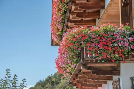 Gîte fermette Völs am Schlern, 6 pers., terrasse : photo 9