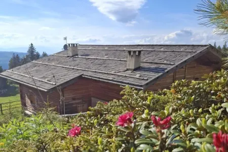 Chalet 8 pers. à Eggen avec accès direct aux pistes : photo 5