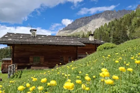 Chalet 8 pers. à Eggen avec accès direct aux pistes : photo 8
