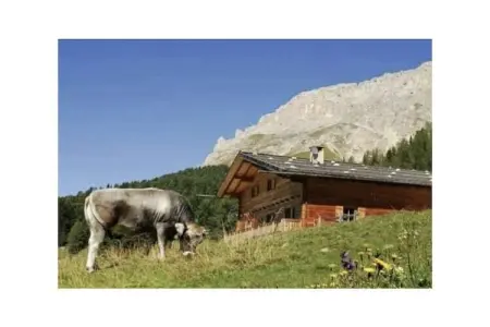 Chalet 8 pers. à Eggen avec accès direct aux pistes : photo 11