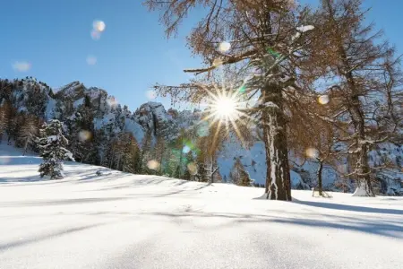 Chalet 8 pers. à Eggen avec accès direct aux pistes : photo 30