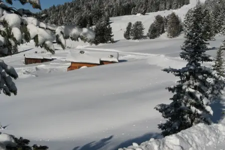 Chalet 8 pers. à Eggen avec accès direct aux pistes : photo 39