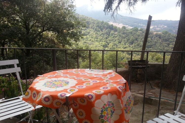 Maison 6 personnes avec vue mont Capanne à Poggio - Photo 3