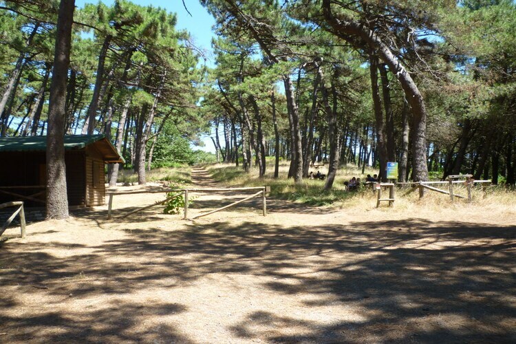 Maison 6 personnes avec vue mont Capanne à Poggio - Photo 21