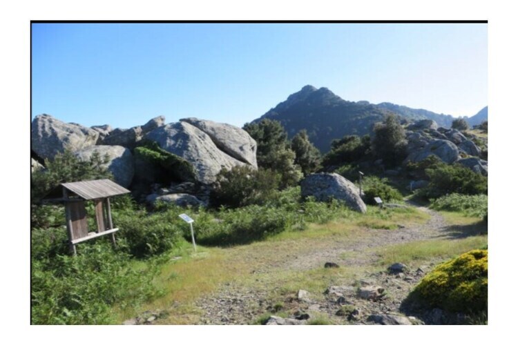 Maison 6 personnes avec vue mont Capanne à Poggio - Photo 24