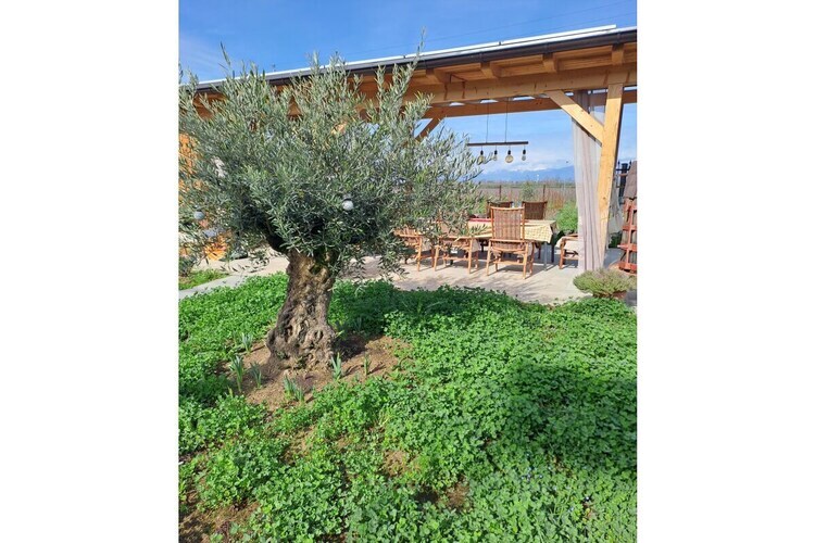Maison Irmi à Peschiera del Garda, jardin & terrasse - Photo 6