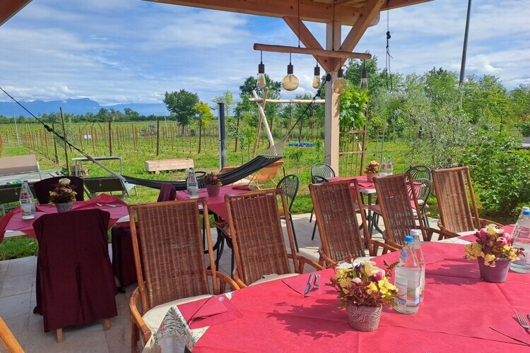 Maison Irmi à Peschiera del Garda, jardin & terrasse - Photo 11