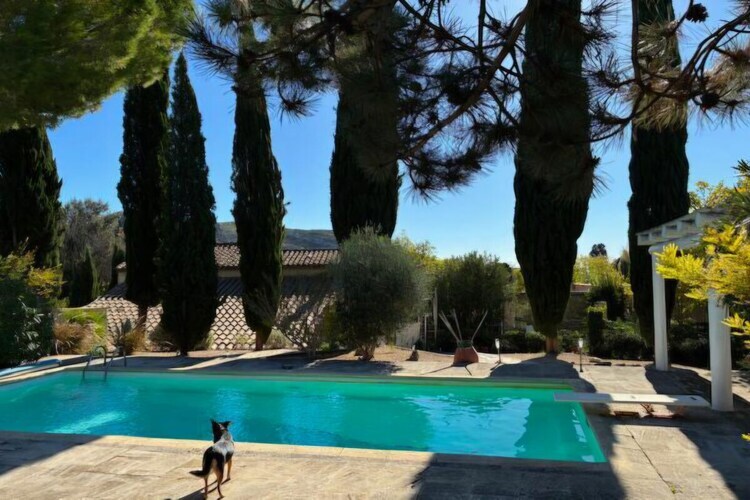 Maison 8 pers. Mouriès : piscine, vignes et Alpilles - Photo 13