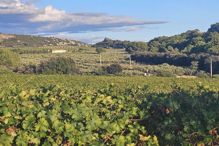 Maison 8 pers. Mouriès : piscine, vignes et Alpilles - Photo 19