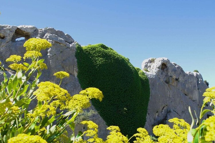 Maison 8 pers. Mouriès : piscine, vignes et Alpilles - Photo 38