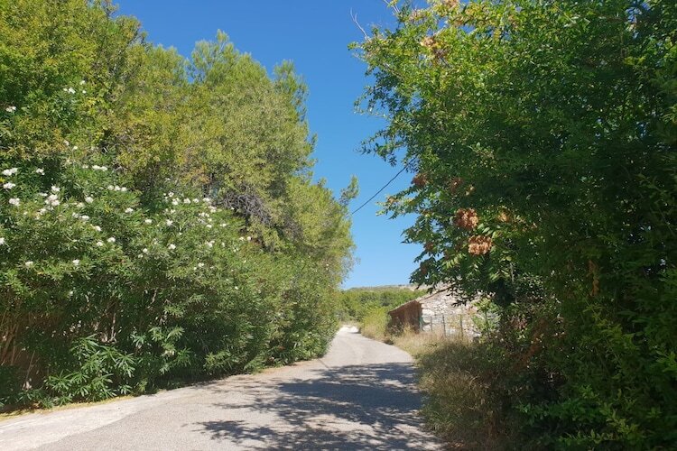 Maison 8 pers. Mouriès : piscine, vignes et Alpilles - Photo 43