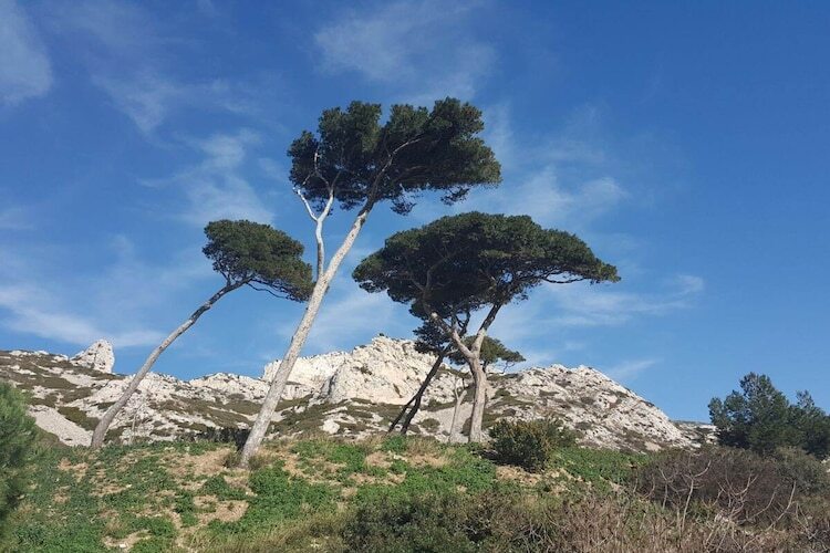 Maison 8 pers. Mouriès : piscine, vignes et Alpilles - Photo 45