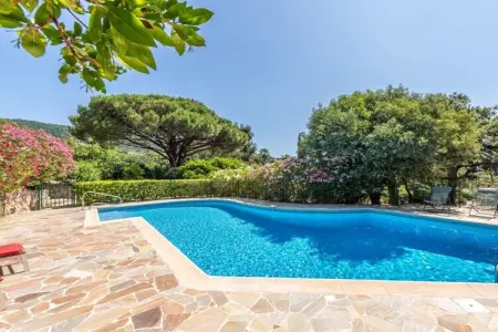 786633, Maison de vacances à Grimaud avec piscine - Photo 12