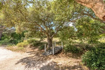 786633, Maison de vacances à Grimaud avec piscine - Photo 33