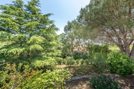 786633, Maison de vacances à Grimaud avec piscine - Photo 36