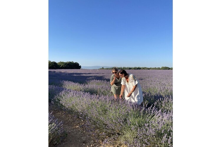 Maison Provence 6 pers. piscine, parc Luberon - Photo 29