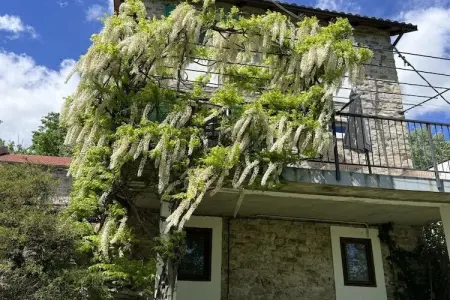Maison de pierre à Bubbio, terrasse vignobles piémontais : photo 7