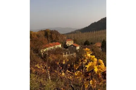 Maison de pierre à Bubbio, terrasse vignobles piémontais : photo 8