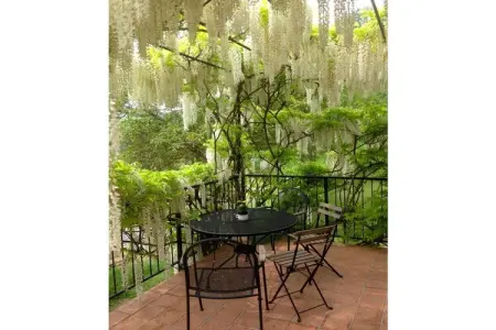 Maison de pierre à Bubbio, terrasse vignobles piémontais : photo 12