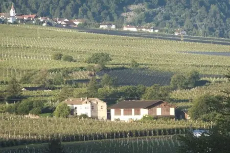 Maison Etschwool à Naturns, pin cembro et vue montagne : photo 8
