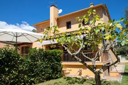 Maison rénovée avec piscine et cuisine d'été à Calonge : photo 4