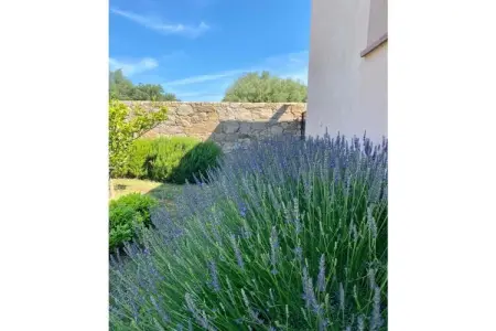 289973, Villa à Monticello avec piscine - Photo 7