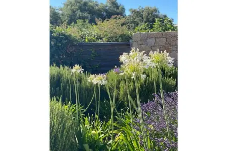 289973, Villa à Monticello avec piscine - Photo 9