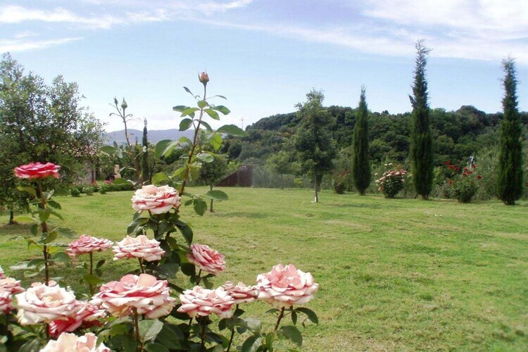 Casa Baffo : maison toscane 5 pers. avec terrasse - Photo 7