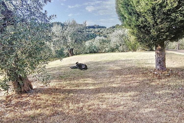Casa Baffo : maison toscane 5 pers. avec terrasse - Photo 15