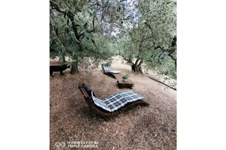 Maison de vacances 8 pers. avec piscine en Toscane : photo 6