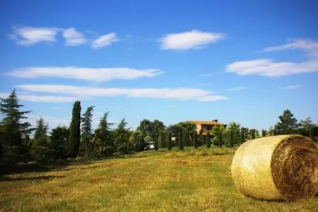 Villa en Toscane avec piscine privée à Cortona : photo 5