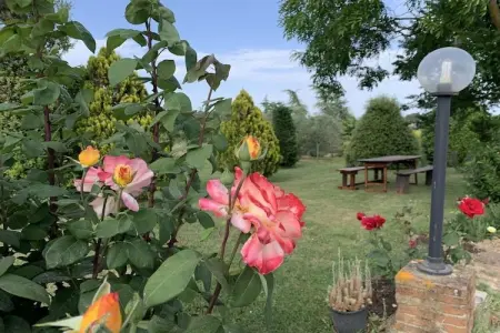 Villa en Toscane avec piscine privée à Cortona : photo 14