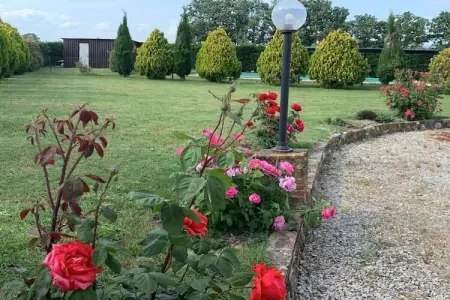 Villa en Toscane avec piscine privée à Cortona : photo 16